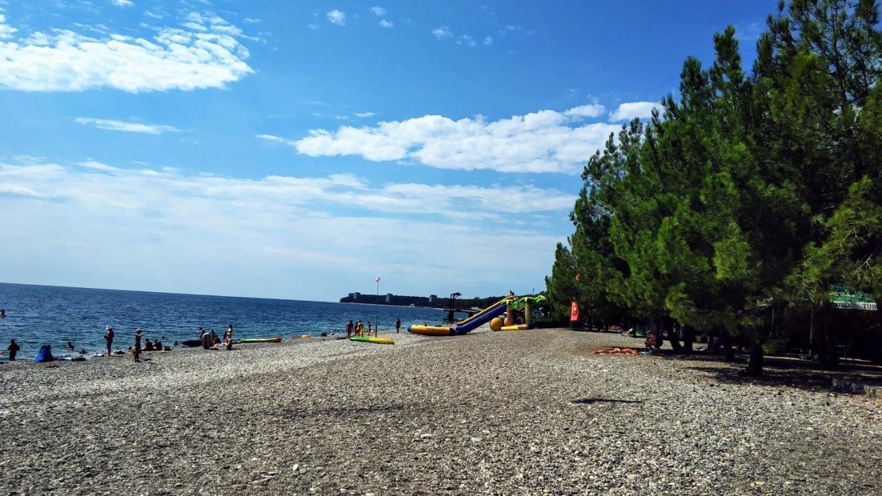 Ковчег Lidzava Bagian luar foto